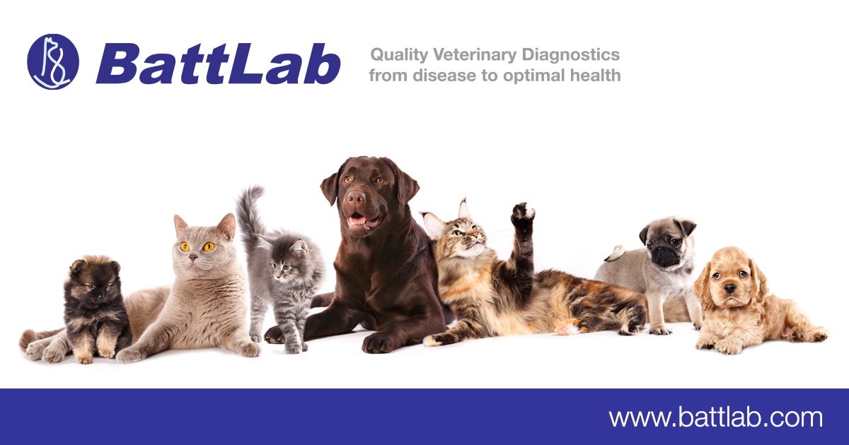 Cheek Swabs for DNA Analysis - BattLab - Veterinary Diagnostic and Clinical Pathology Laboratory UK