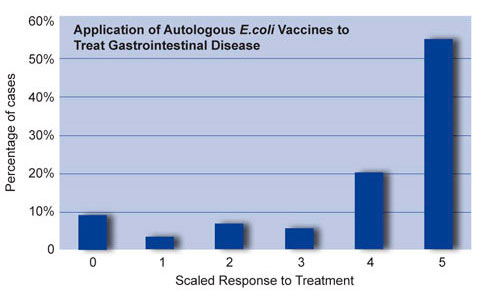 why dont dogs get e coli