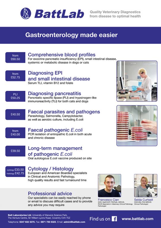 gastroenterology_flyer_a4_2018 BattLab Veterinary Diagnostic and