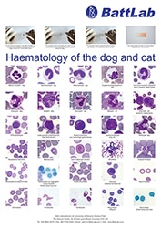 Haematology Poster
