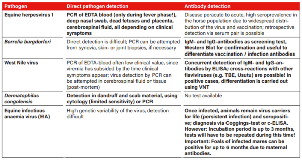 Choosing Between Pathogen or Antibody Detection