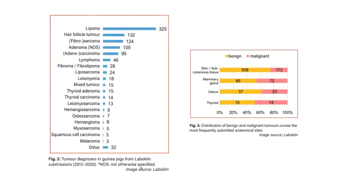 screenshot-2025-11-23-124953