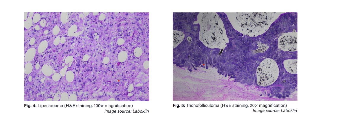 screenshot-2025-11-23-125554