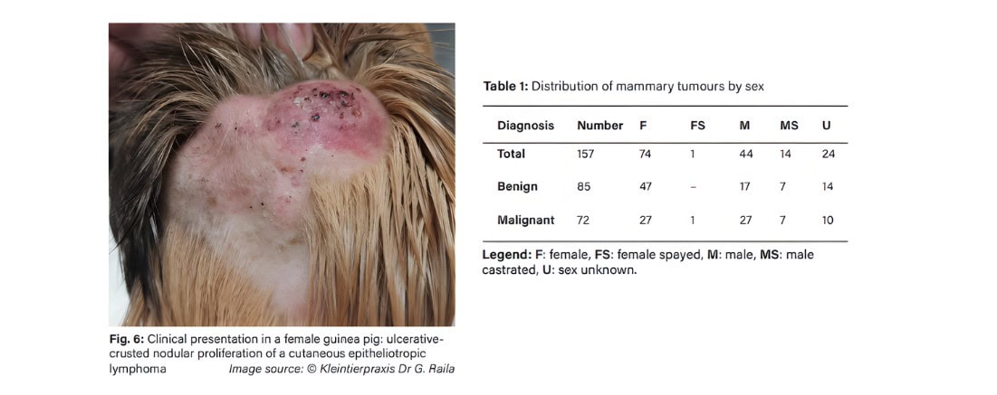 screenshot-2025-11-23-130133