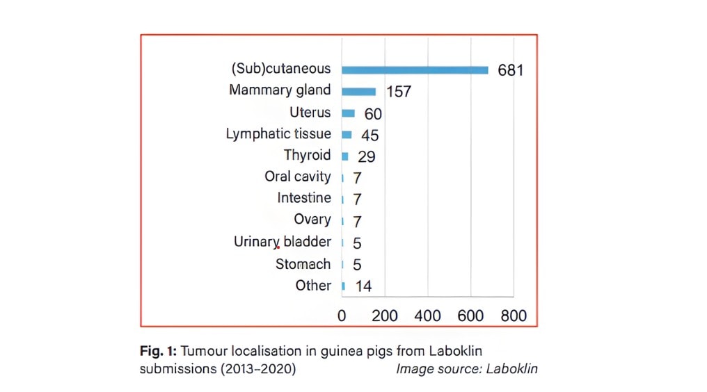 screenshot-2025-11-23-130935