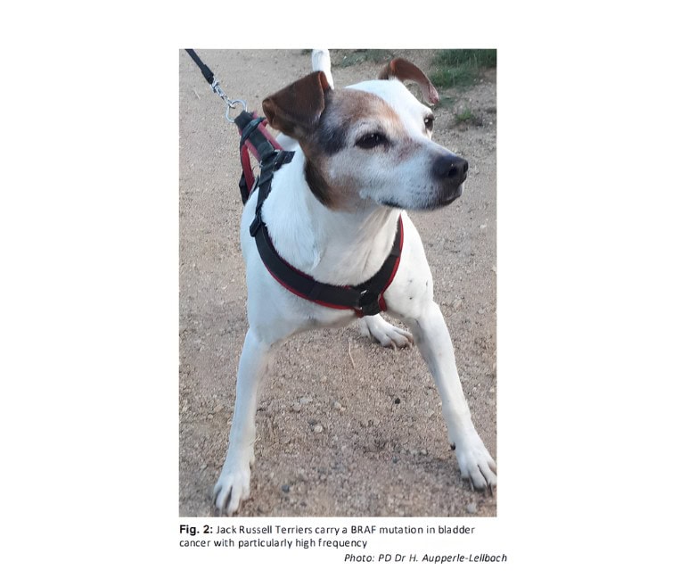 screenshot-2025-12-05-154737