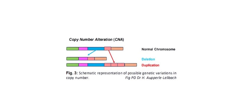 screenshot-2025-12-05-155036