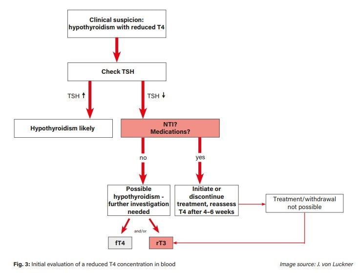 screenshot-2026-01-18-094512