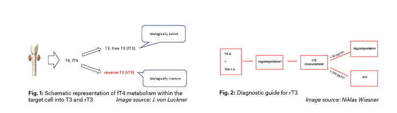 screenshot-2026-02-02-164548